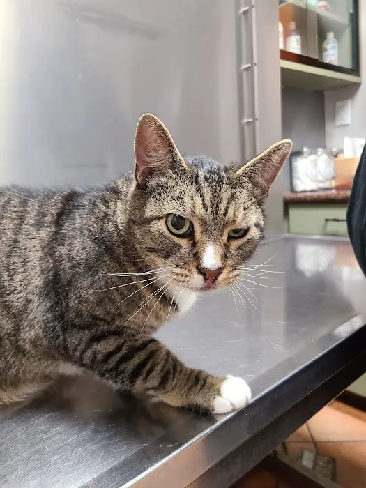 Grand Pet Care Center Picture 5