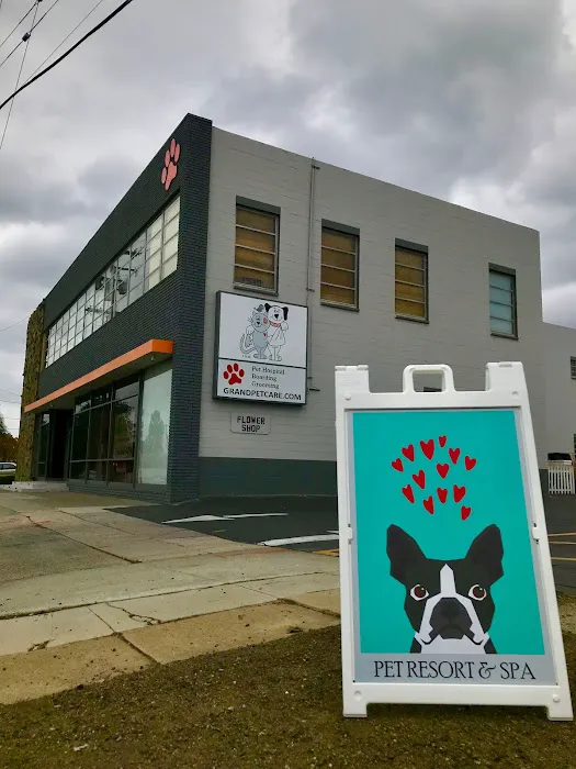 Grand Pet Care Center Picture 2