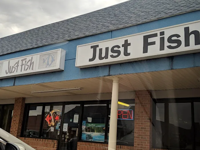 Just Fish Picture 3