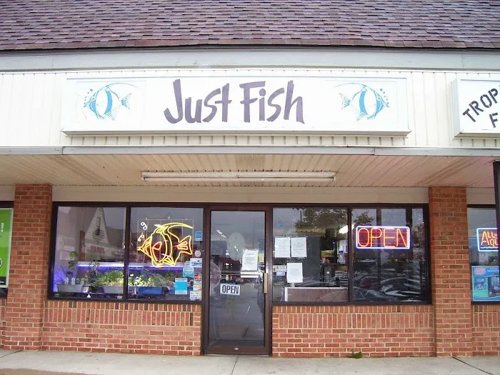 Just Fish Picture 9