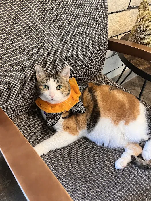 Orange Hill Veterinary Hospital Picture 9