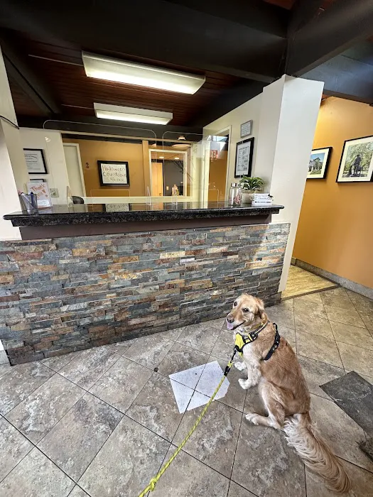 Orange Hill Veterinary Hospital Picture 6