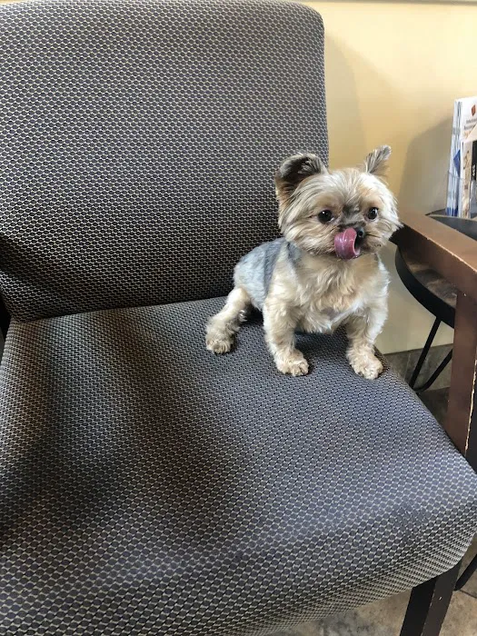 Orange Hill Veterinary Hospital Picture 8
