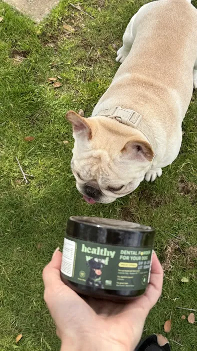 Healthy Woof Picture 2