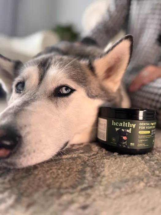 Healthy Woof Picture 7