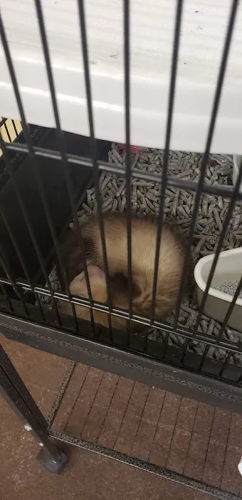 PV Pets Picture 1