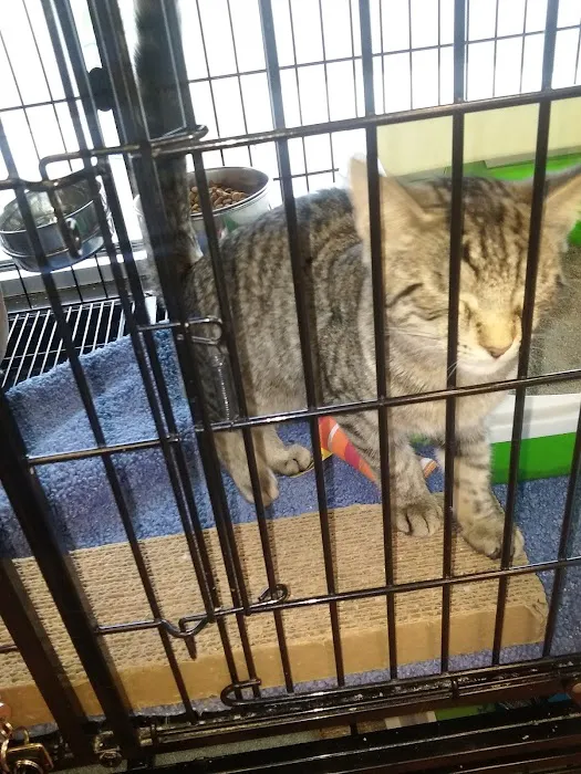 Pet Valu Picture 2