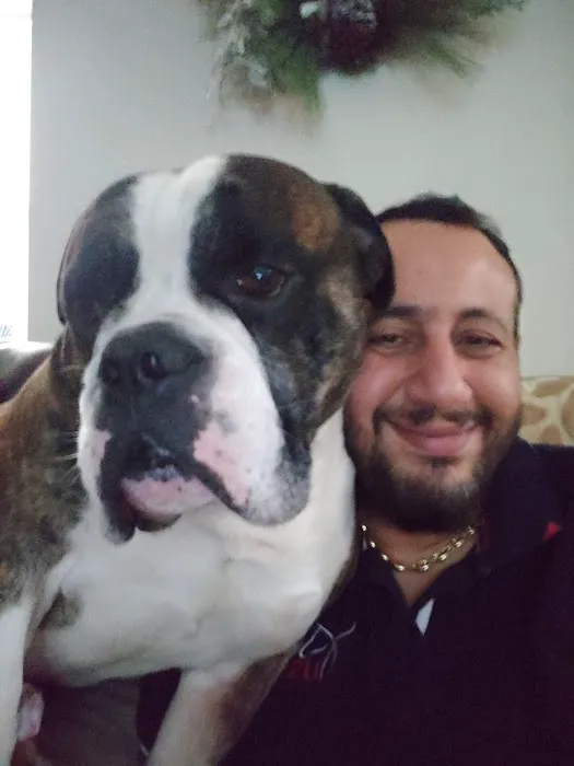 Pet Valu Picture 1