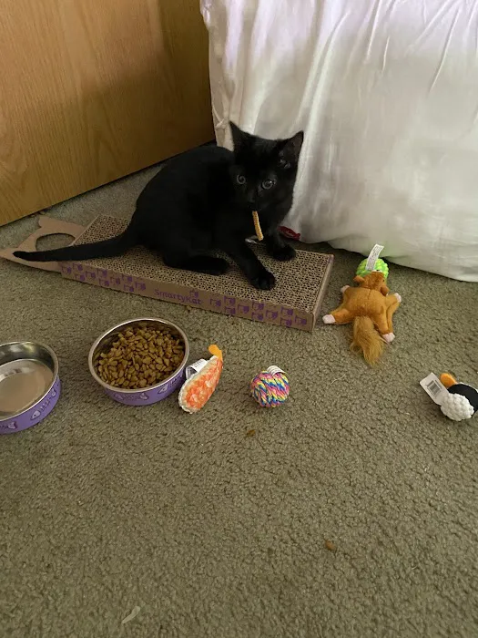 Pets and Friends JV Picture 1