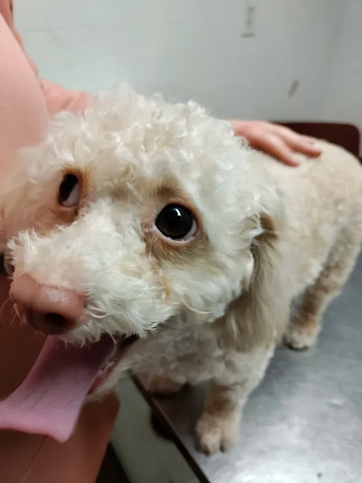Alamitos Animal Hospital Picture 2