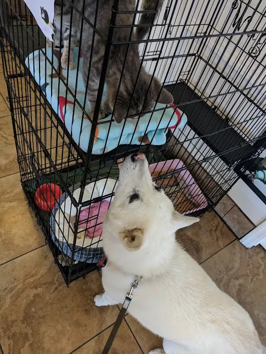 Alamitos Animal Hospital Picture 9