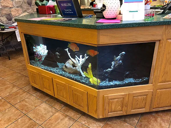 Seascape Designs Inc. Picture 6