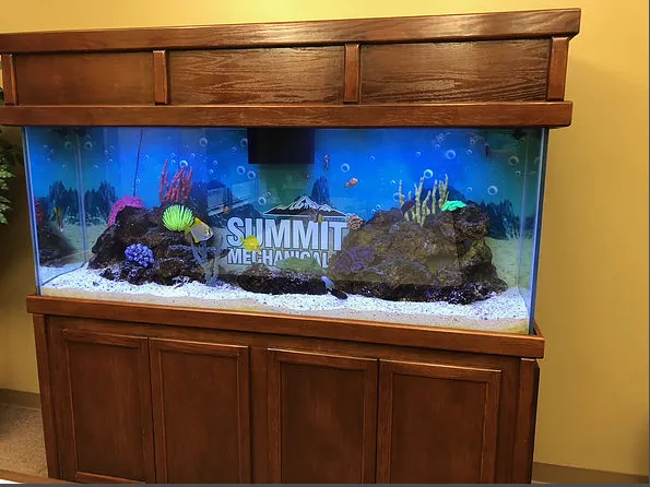 Seascape Designs Inc. Picture 9