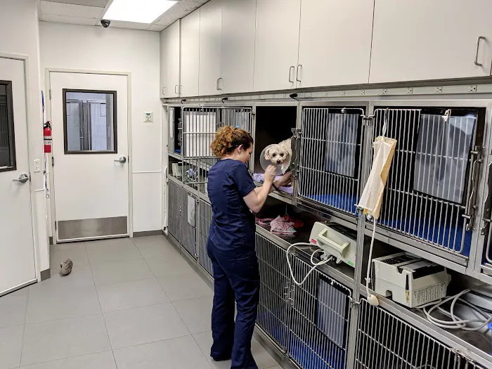 Alona Animal Hospital Picture 8