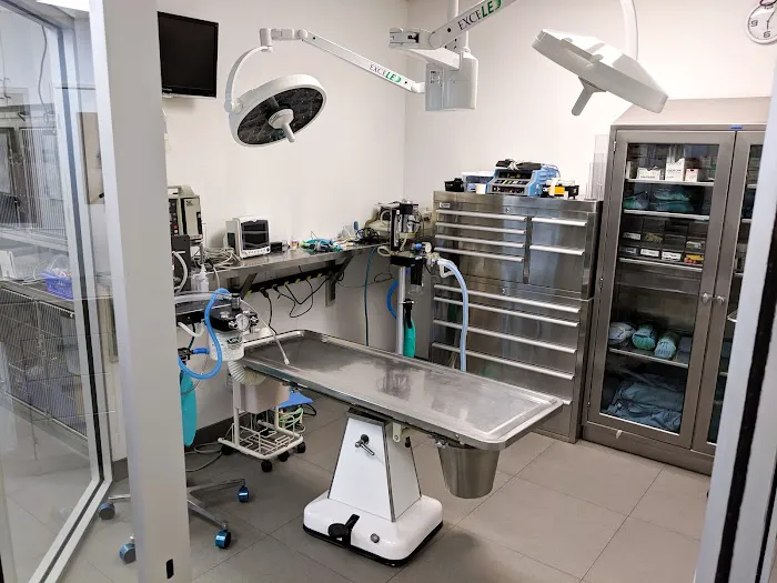 Alona Animal Hospital Picture 10