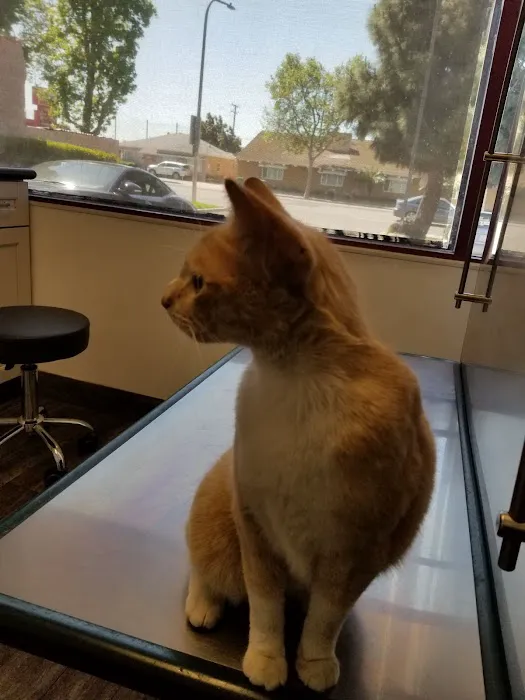 Alona Animal Hospital Picture 5
