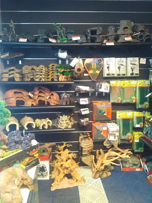 Everything Reptile Picture 2