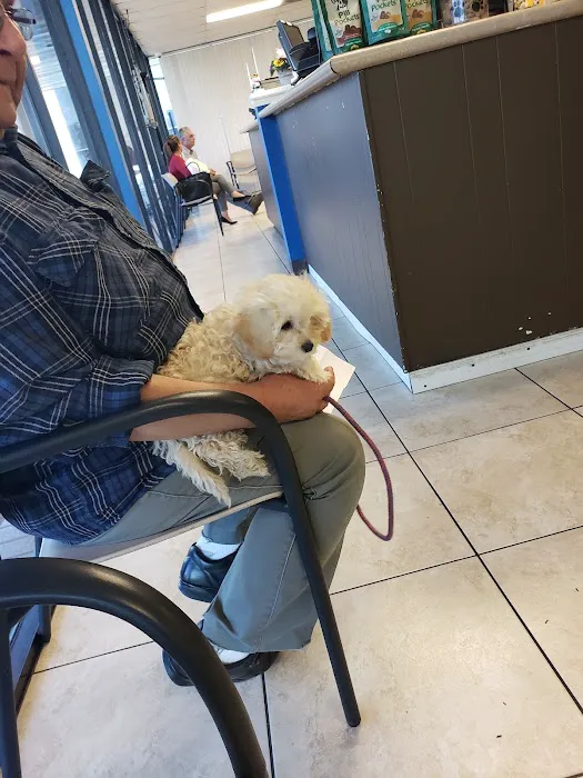 Animal Medical Center Picture 8