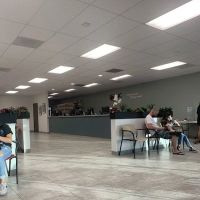 Animal Medical Center ico