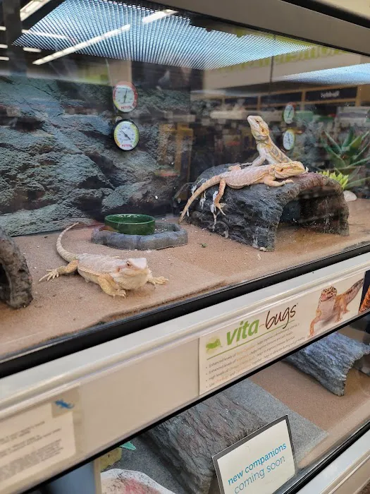 Petco Picture 1