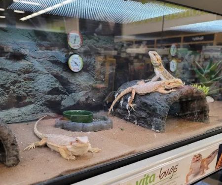 Petco