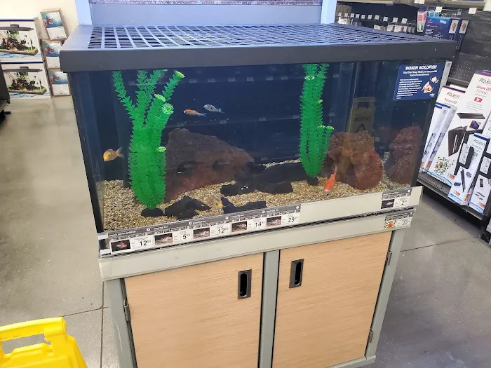 Petco Picture 8
