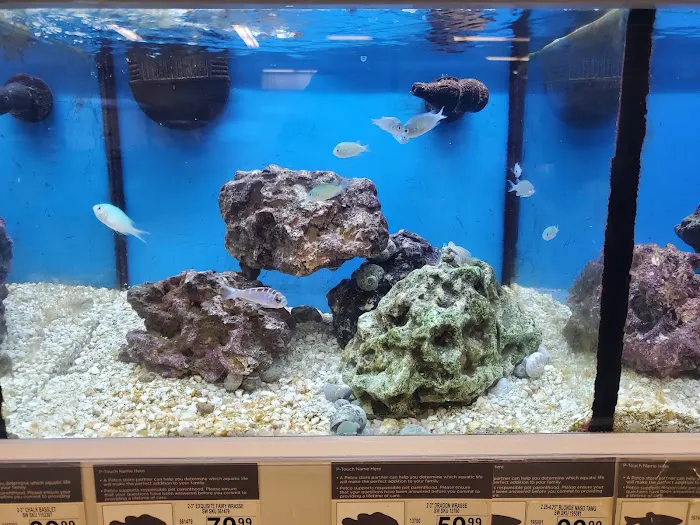 Petco Picture 3