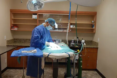 Magnolia Animal Hospital Picture 6