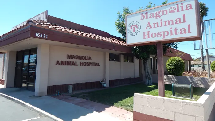 Magnolia Animal Hospital Picture 9
