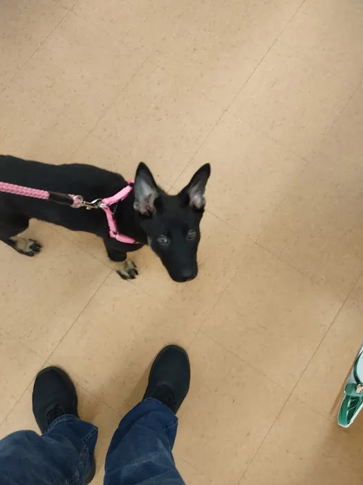 Petco Picture 9