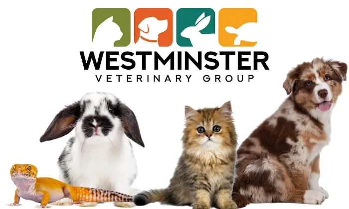 Westminster Veterinary Group Picture 9