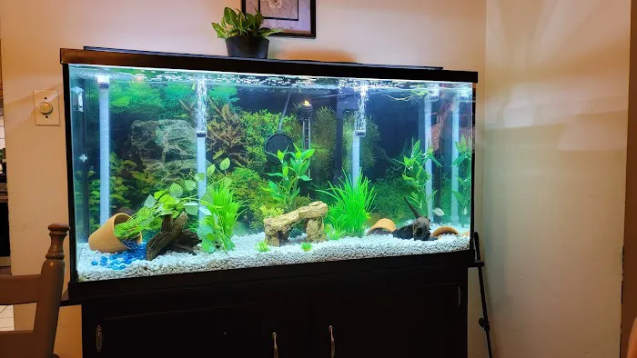 Hipnotik~Aquatix Picture 3