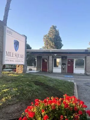 Mile Square Animal Hospital Picture 2