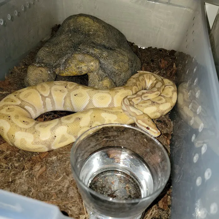 Morph Mafia LLC Picture 5