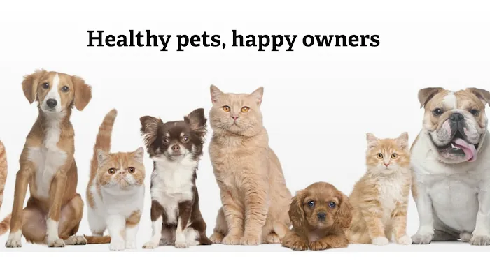 Affordable Animal Hospital: Santa Ana Picture 6