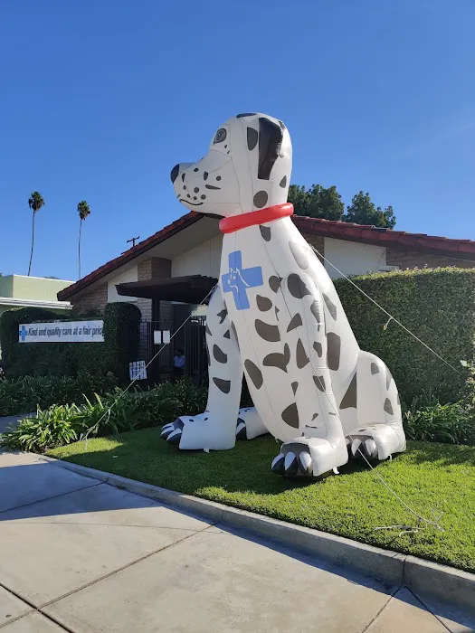 Affordable Animal Hospital: Santa Ana Picture 3