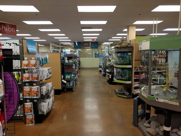 Petco Picture 2
