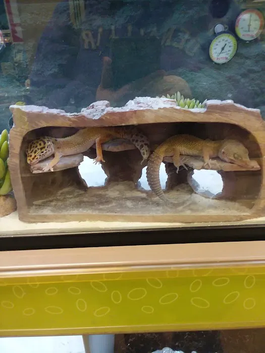 Petco Picture 9