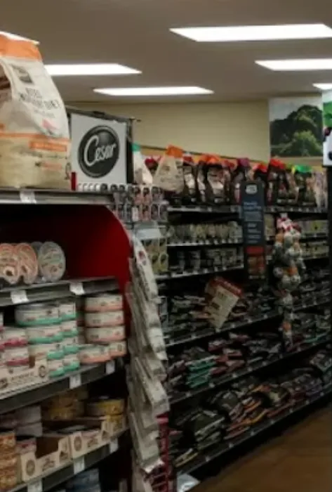 Petco Picture 10