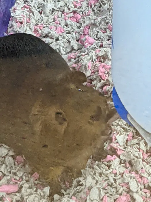 Petco Picture 3