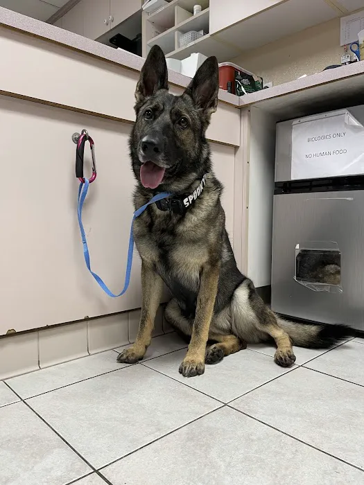 Tustin Santa Ana Vet Hospital Picture 2