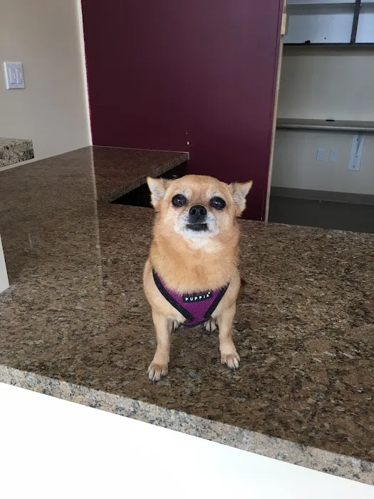 Tustin Care Animal Hospital Picture 8