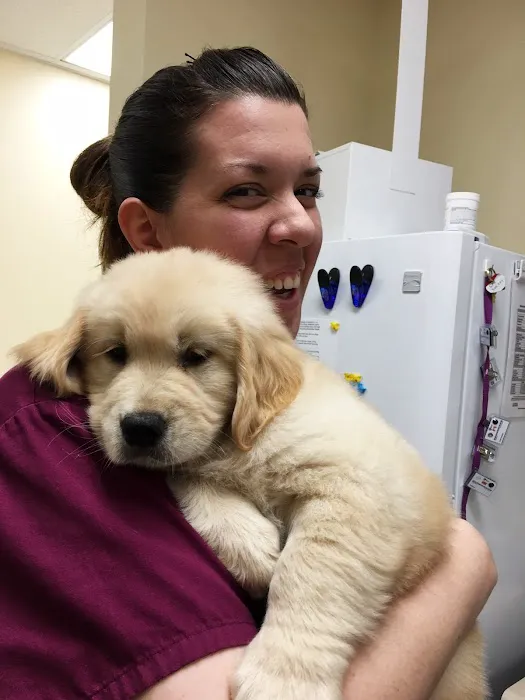Tustin Care Animal Hospital Picture 4