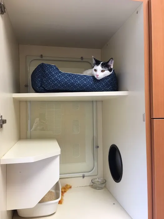Tustin Care Animal Hospital Picture 3