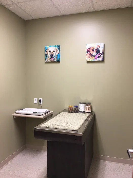 Tustin Care Animal Hospital Picture 6