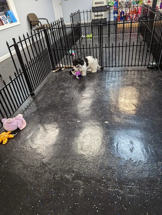 AA Ridgewood Kennels II Picture 8