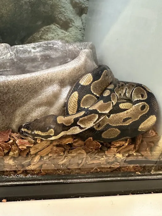 Petco Picture 10