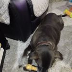 Tate's Feed & Seed