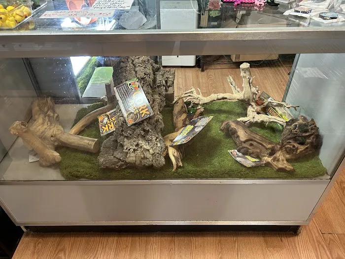 HM's Reptiphibians Exotic Pet Store Picture 9