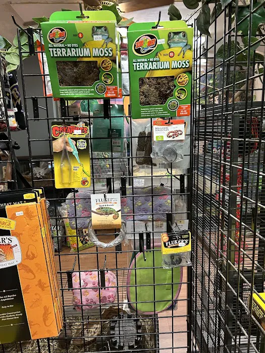 HM's Reptiphibians Exotic Pet Store Picture 6